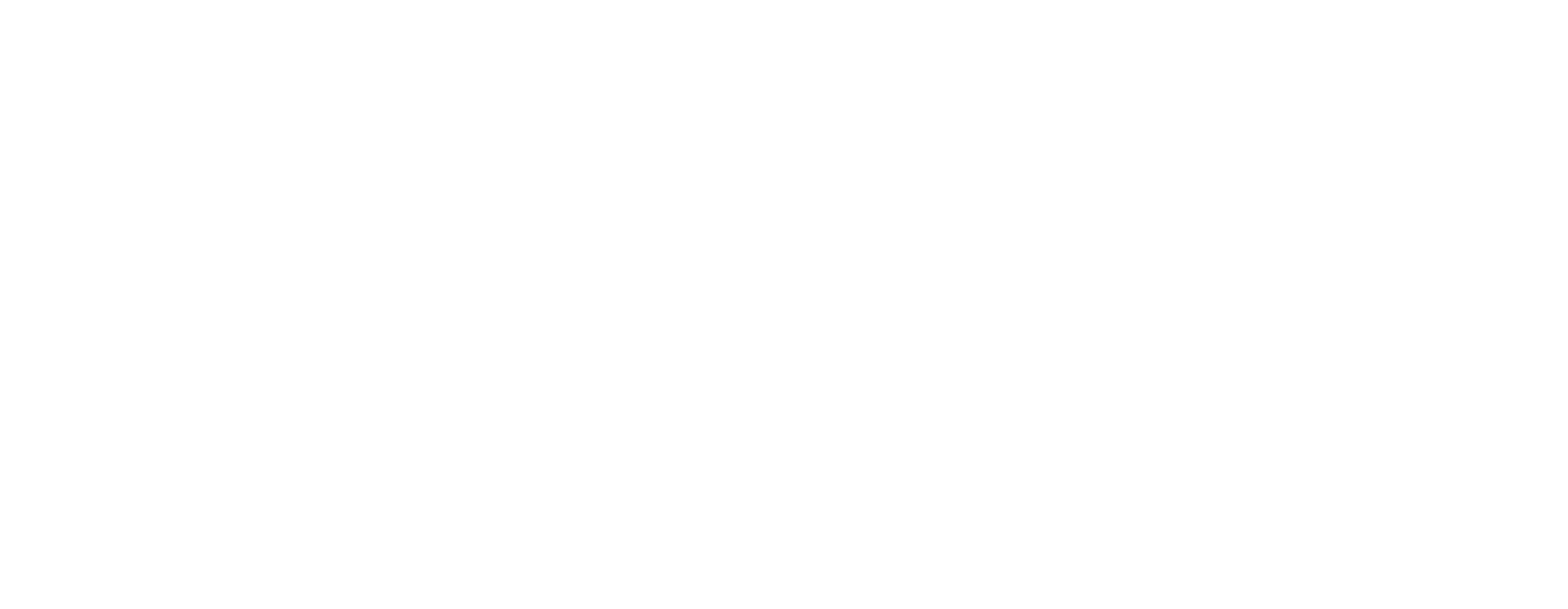 Nordsoul_Logo_White_WEB
