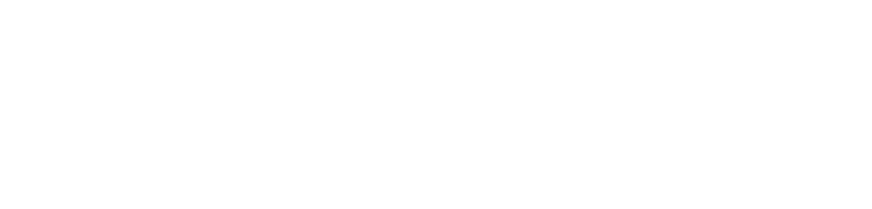 NordSoul_Logo_nospace